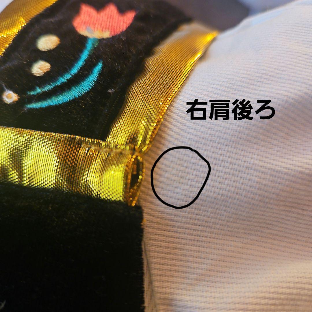 東京ディズニーリゾート　アナ　ドレス