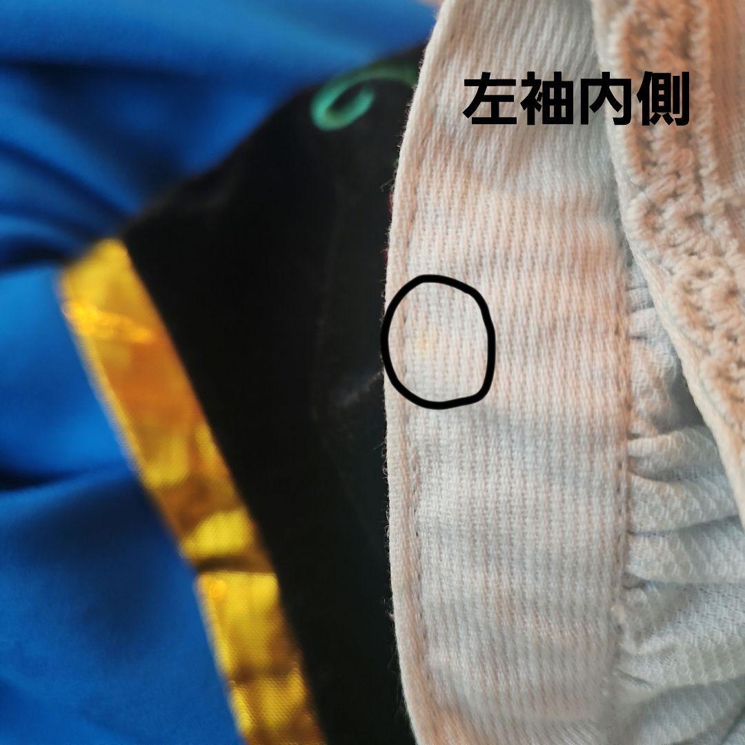 東京ディズニーリゾート　アナ　ドレス