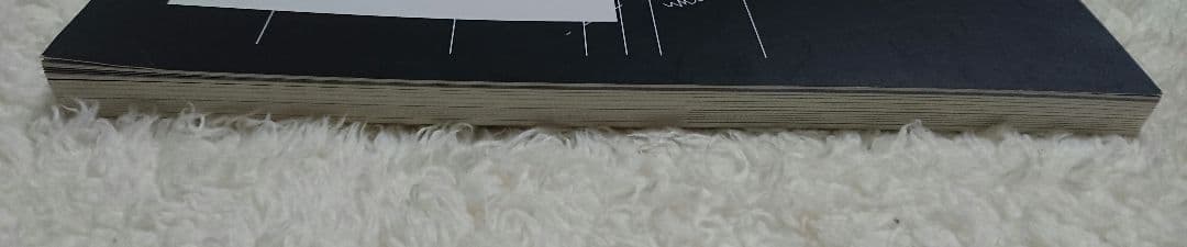 サカナクション 2007-2009