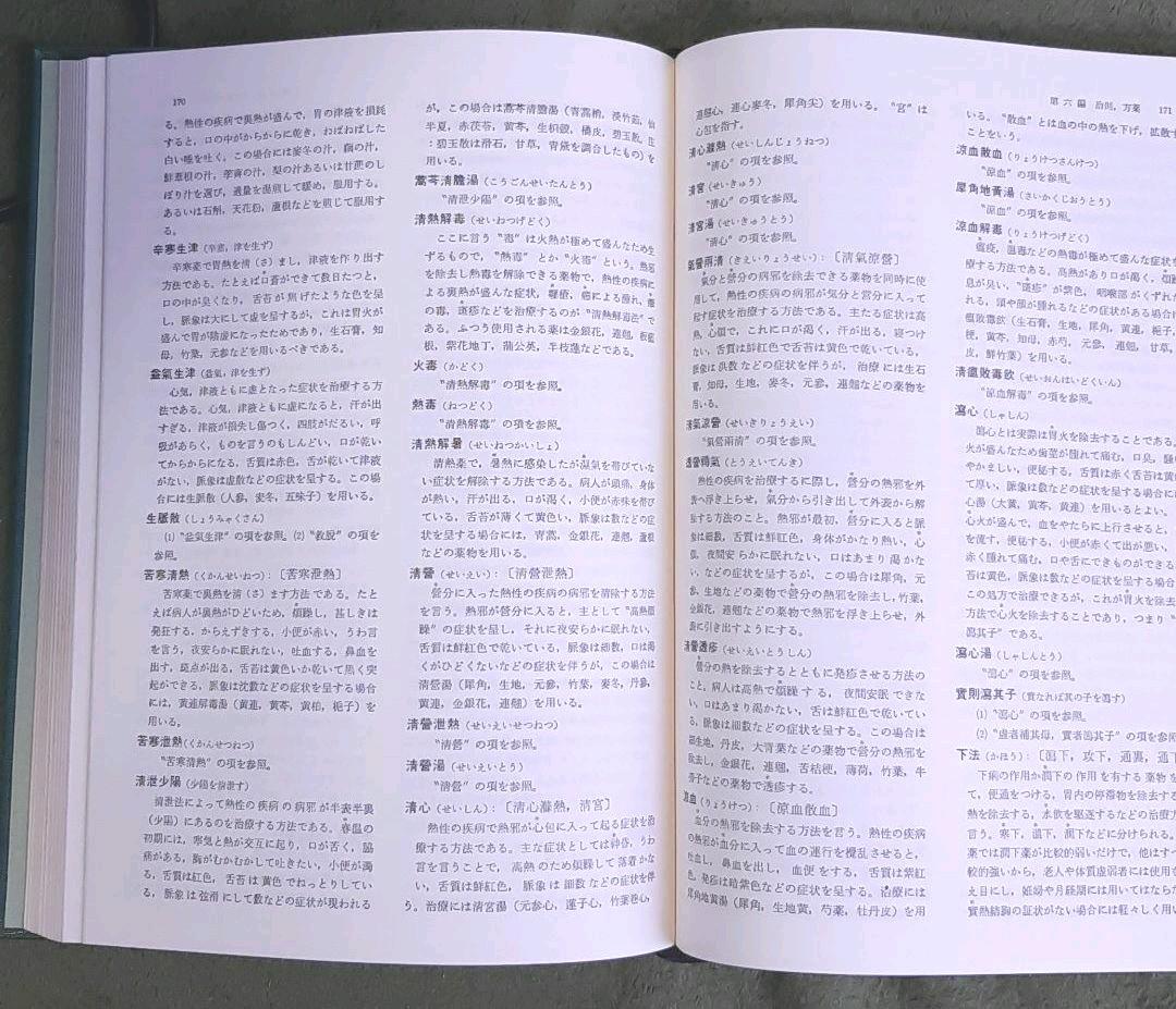 【貴重】【美品】中国漢方医語辞典