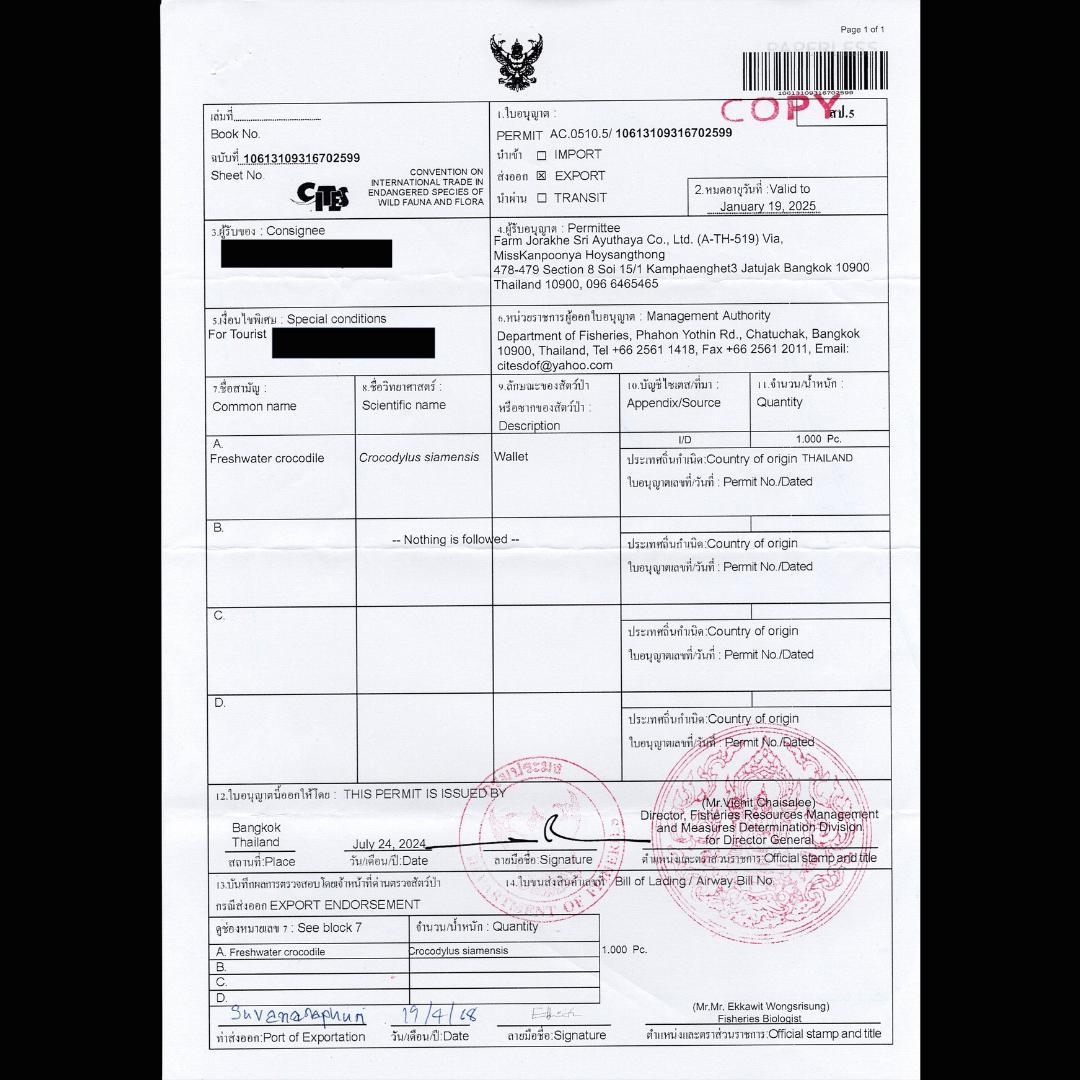 クロコダイル革 マネークリップ 二つ折り財布 本革 ネイビーブルー 薄型 新品