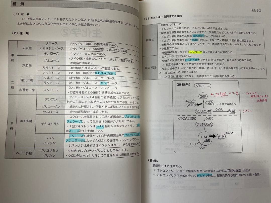 116回歯科医師国家試験　DES本科生用テキスト