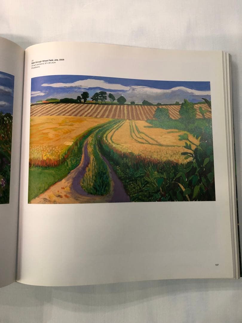 David Hockney: A Bigger Picture (洋書)