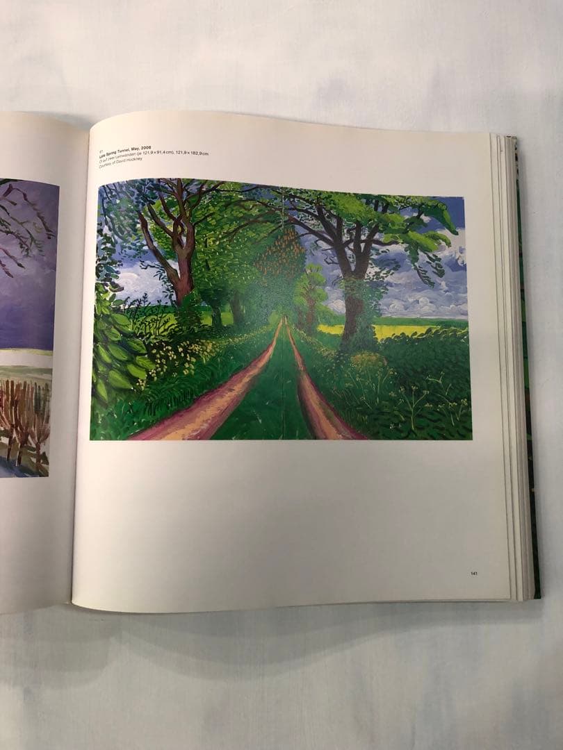 David Hockney: A Bigger Picture (洋書)
