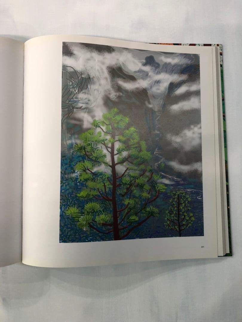 David Hockney: A Bigger Picture (洋書)