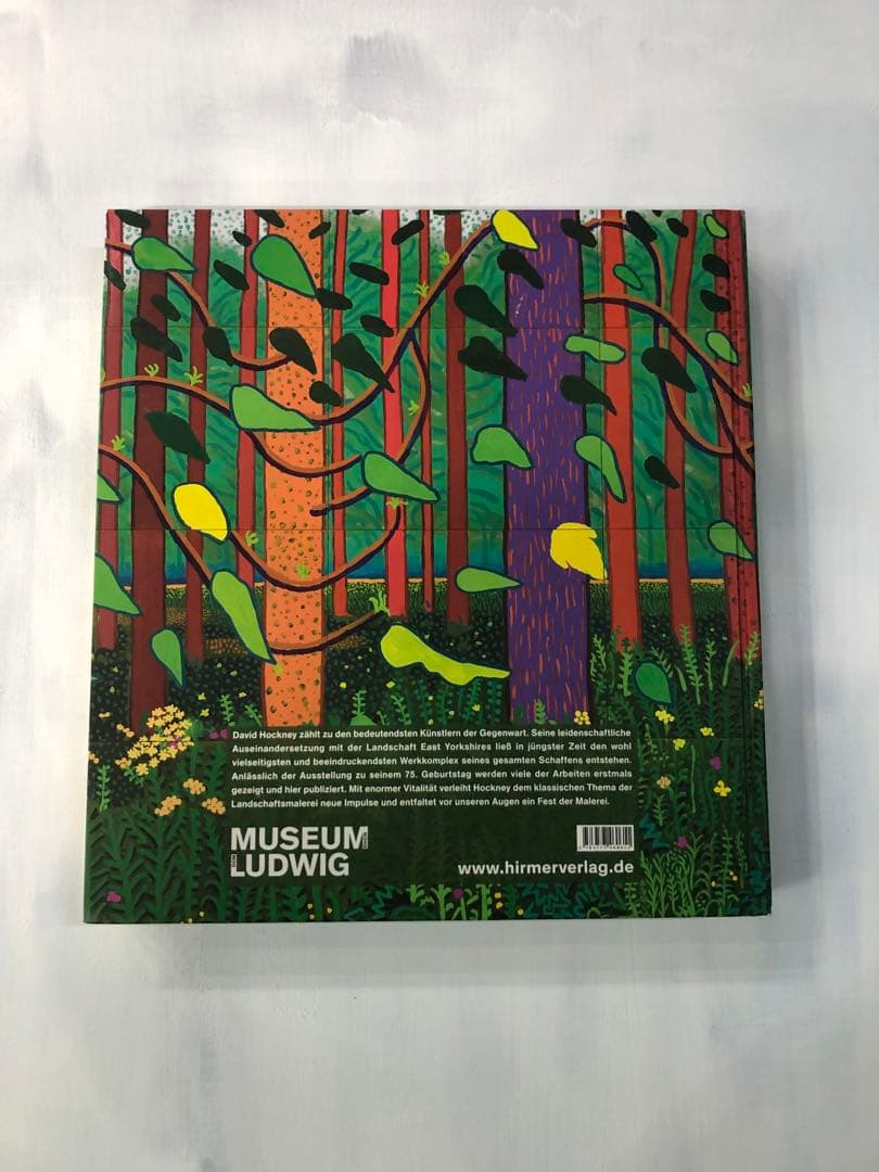 David Hockney: A Bigger Picture (洋書)