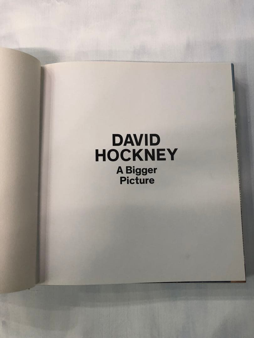 David Hockney: A Bigger Picture (洋書)