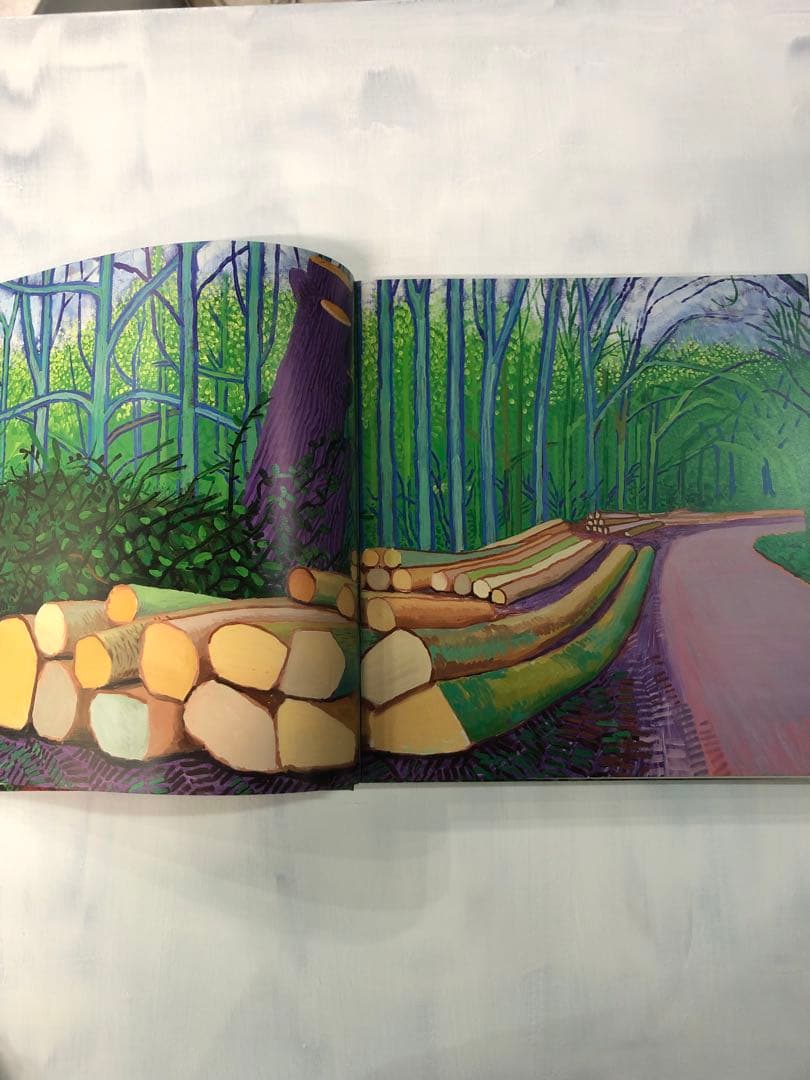 David Hockney: A Bigger Picture (洋書)