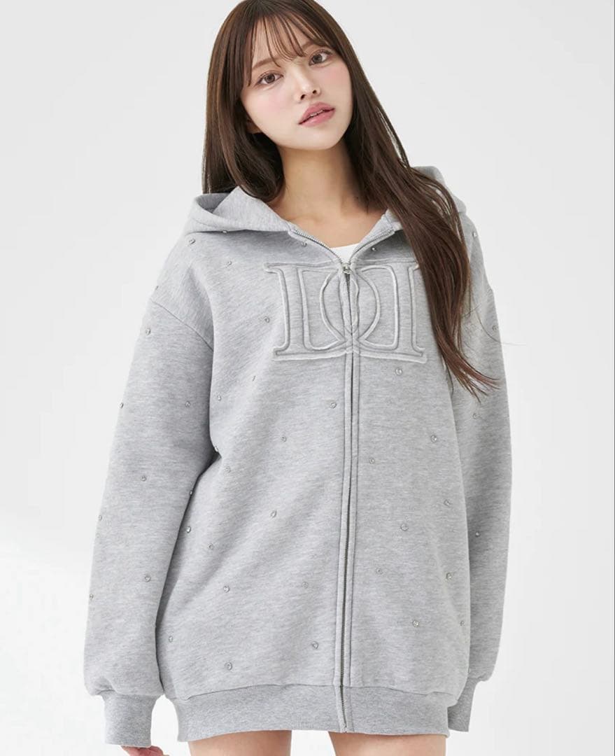 darich DDロゴビジュージップパーカー　グレー