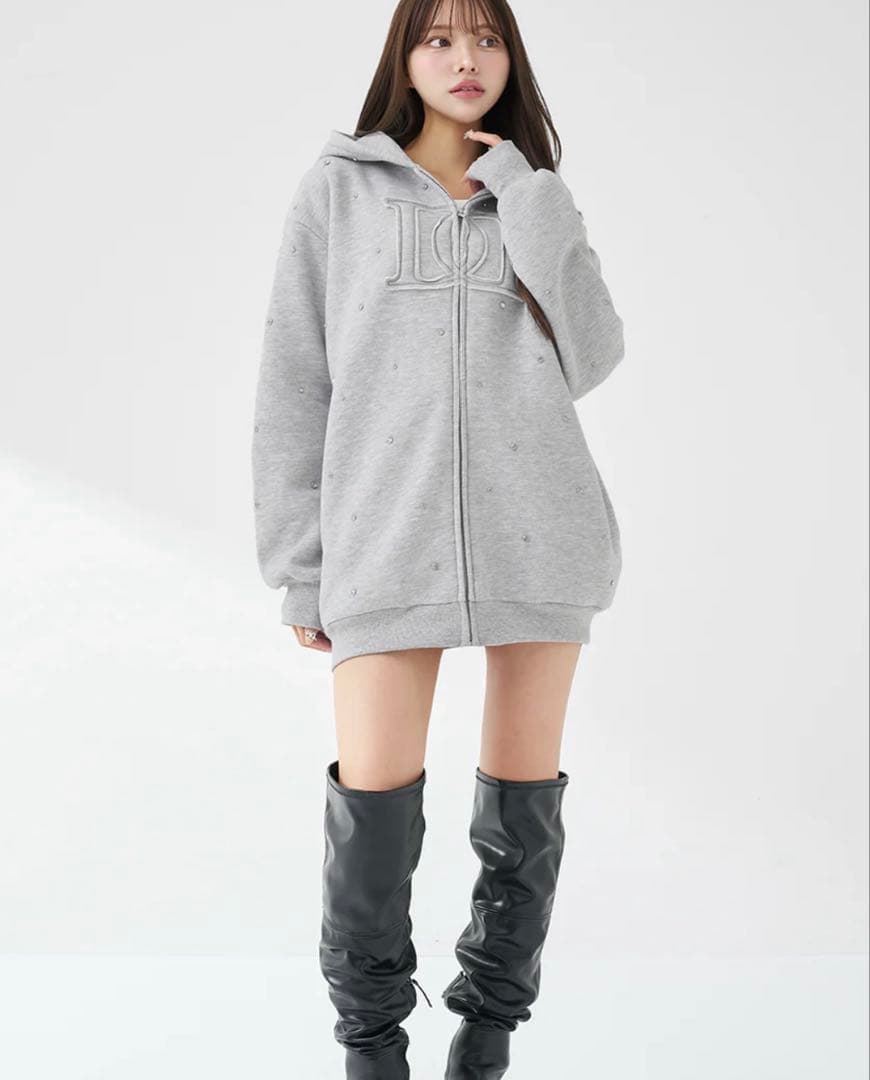 darich DDロゴビジュージップパーカー　グレー