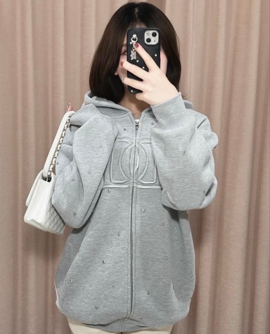 darich DDロゴビジュージップパーカー　グレー