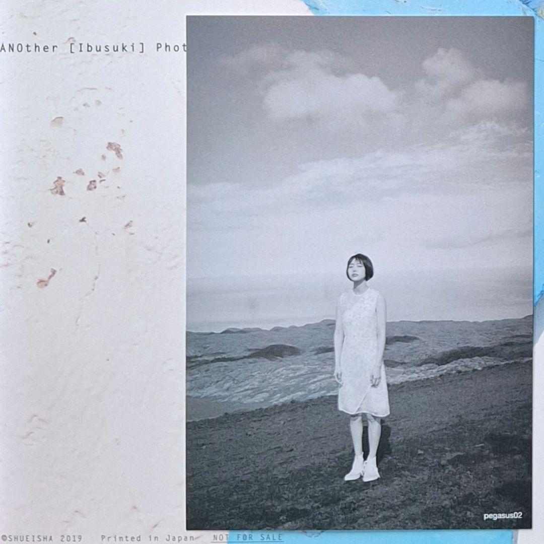 あのちゃん アナザーカット写真集 + Pegasus + ポストカード+ シール