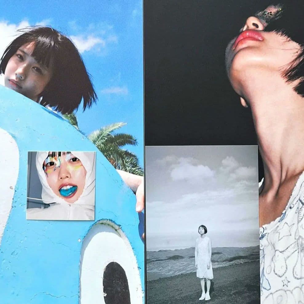 あのちゃん アナザーカット写真集 + Pegasus + ポストカード+ シール