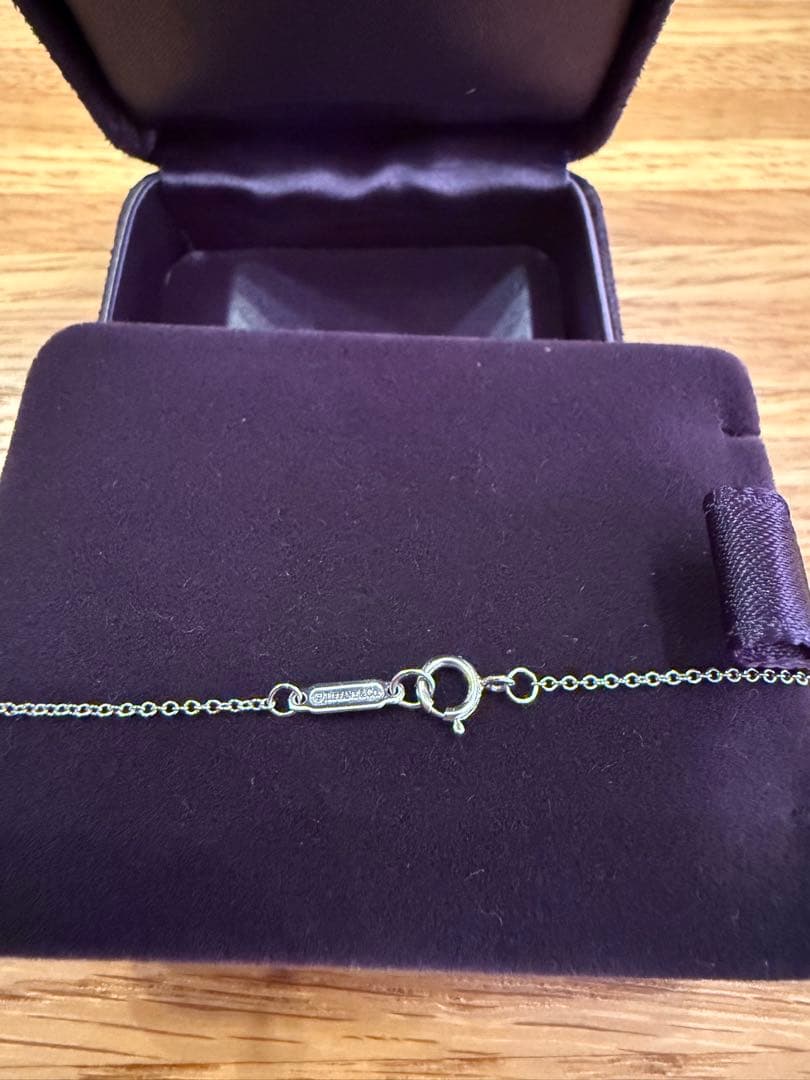 Tiffany & Co. ペーパーフラワー ファイヤーフライ ネックレス