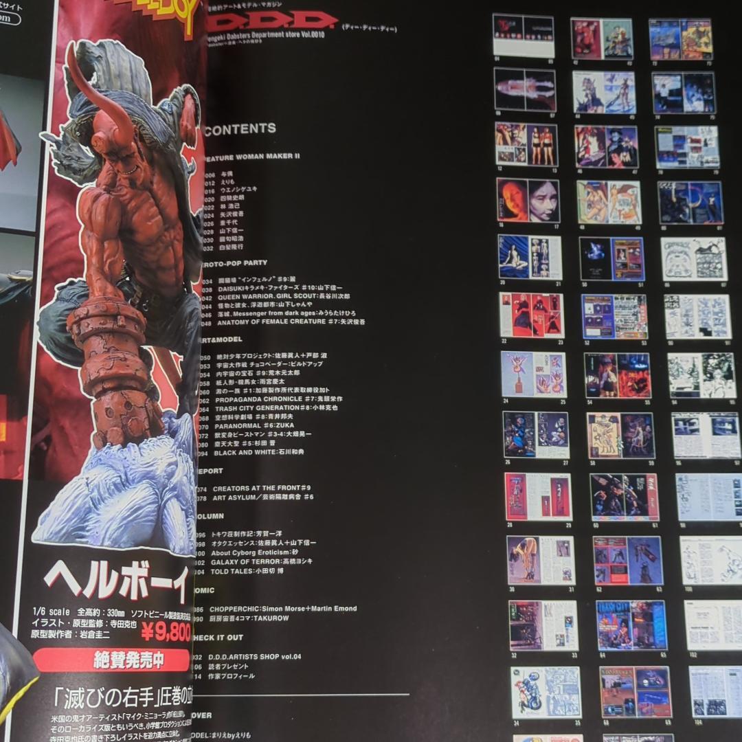 D.D.D. vol.0010 超絶的アート＆モデルマガジン