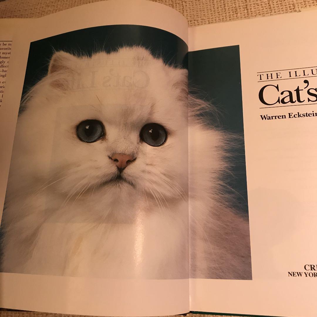 洋書  CATS life