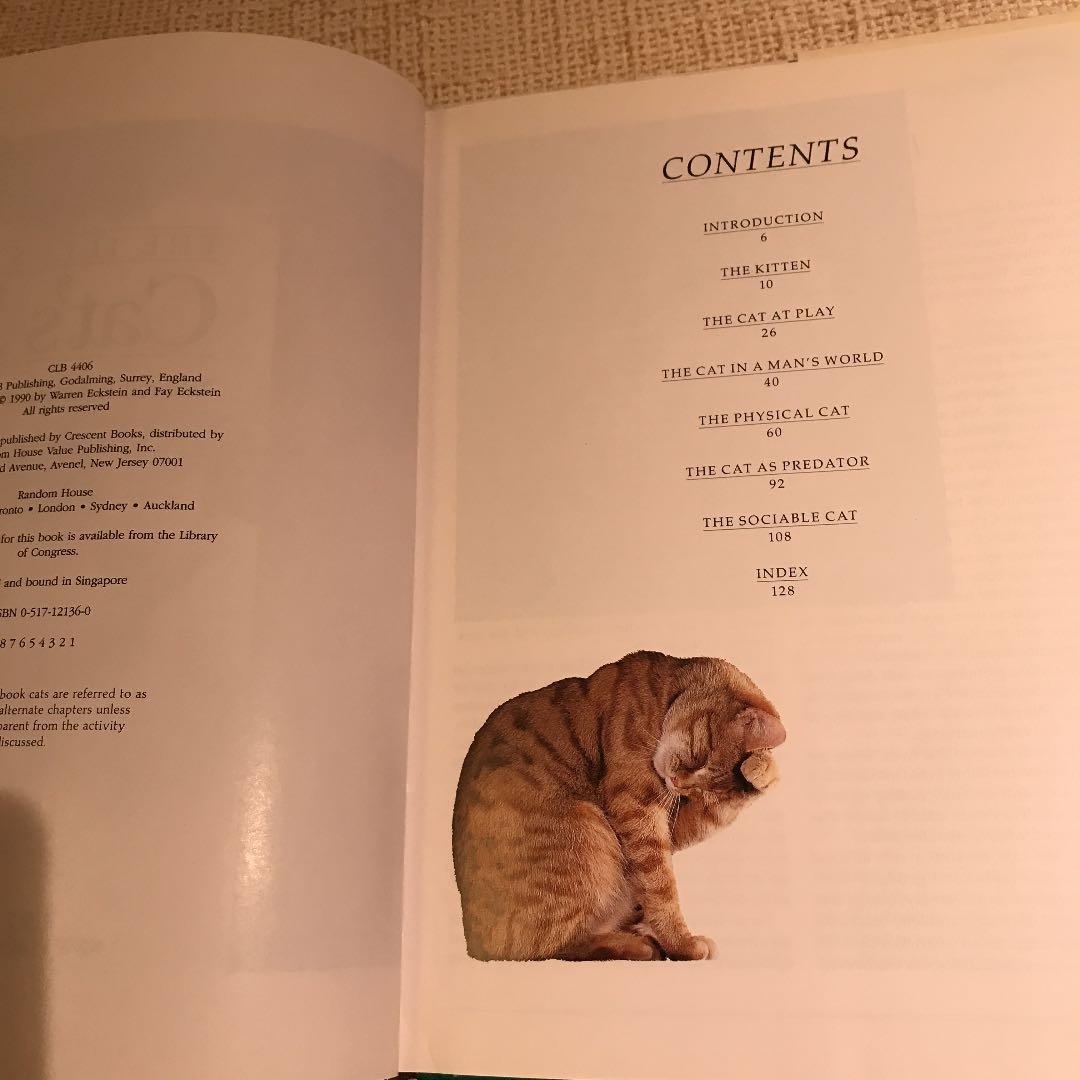 洋書  CATS life