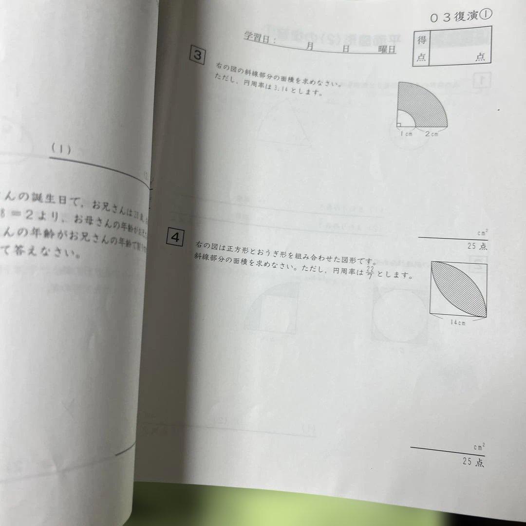 ㉑り　サピックス　サピックス　Daily Support 一年分