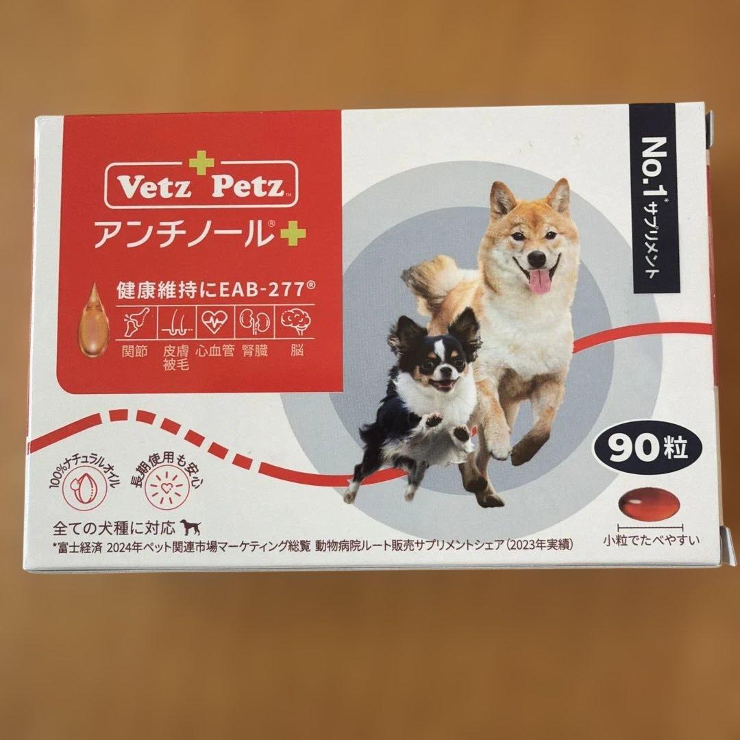 アンチノールプラス　88粒