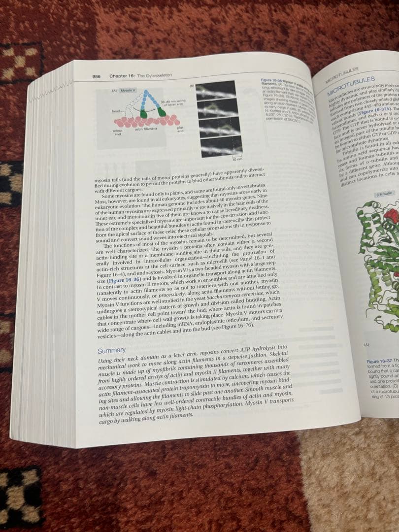 Molecular Biology of the Cell 第7版