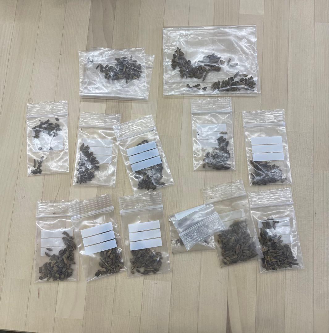 しずろ 沈香 日本香堂 ベトナム産 ボルネオ産 香木 チップ 電子香炉用