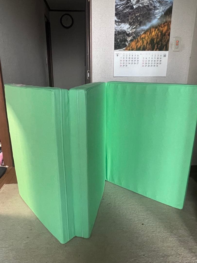 ヘルスウェーブ ゴールド D.C.Ver ジュニア