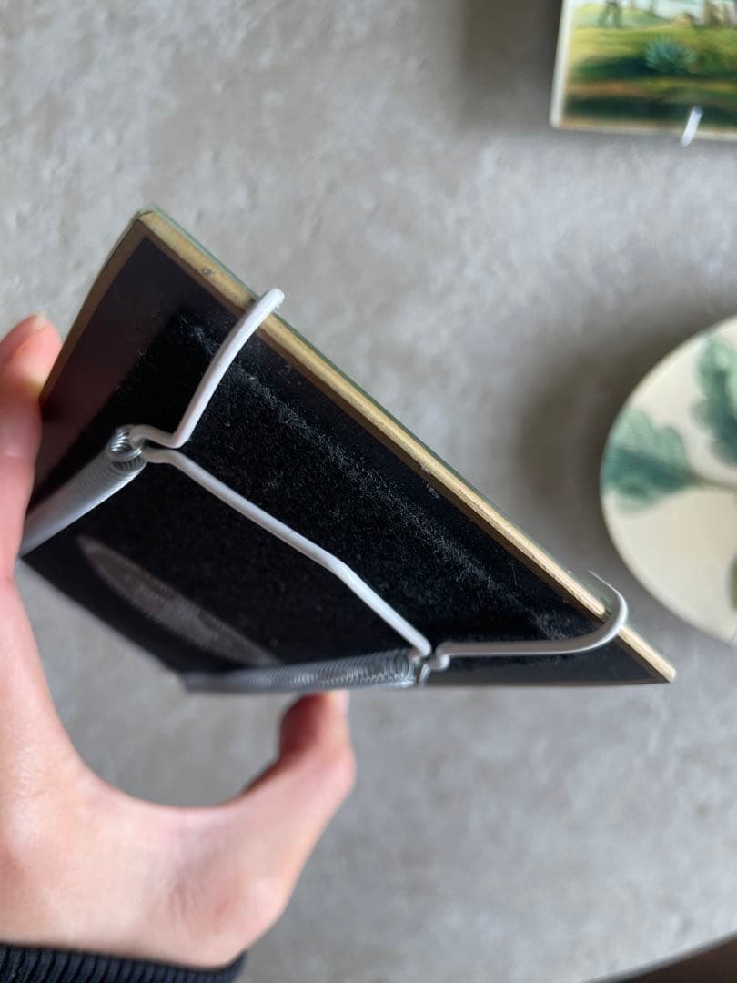 ジョンデリアン　トレイ　TRAY Grape