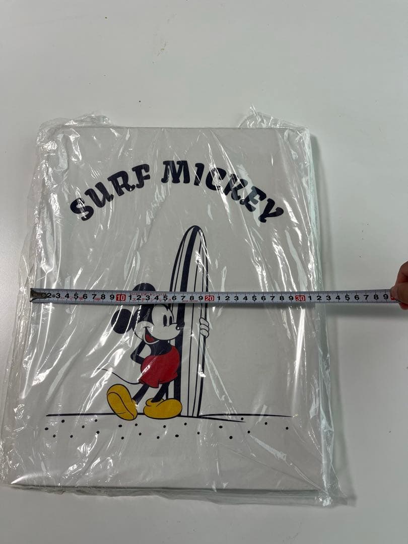 新品 サーフミッキー SURF MICKEY WALL CANVAS ART