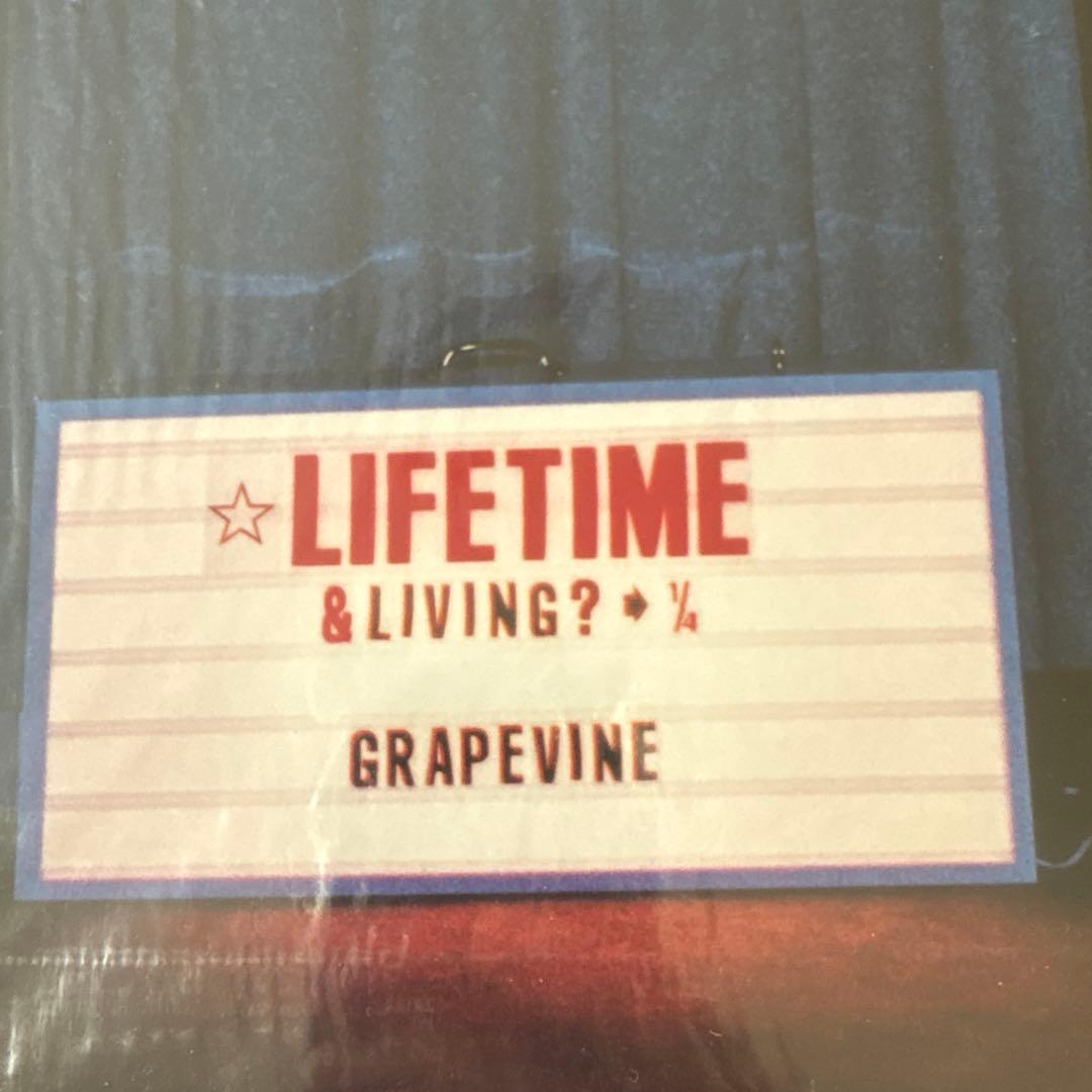 値下げ　GRAPEVINE LIFE TIME レコード