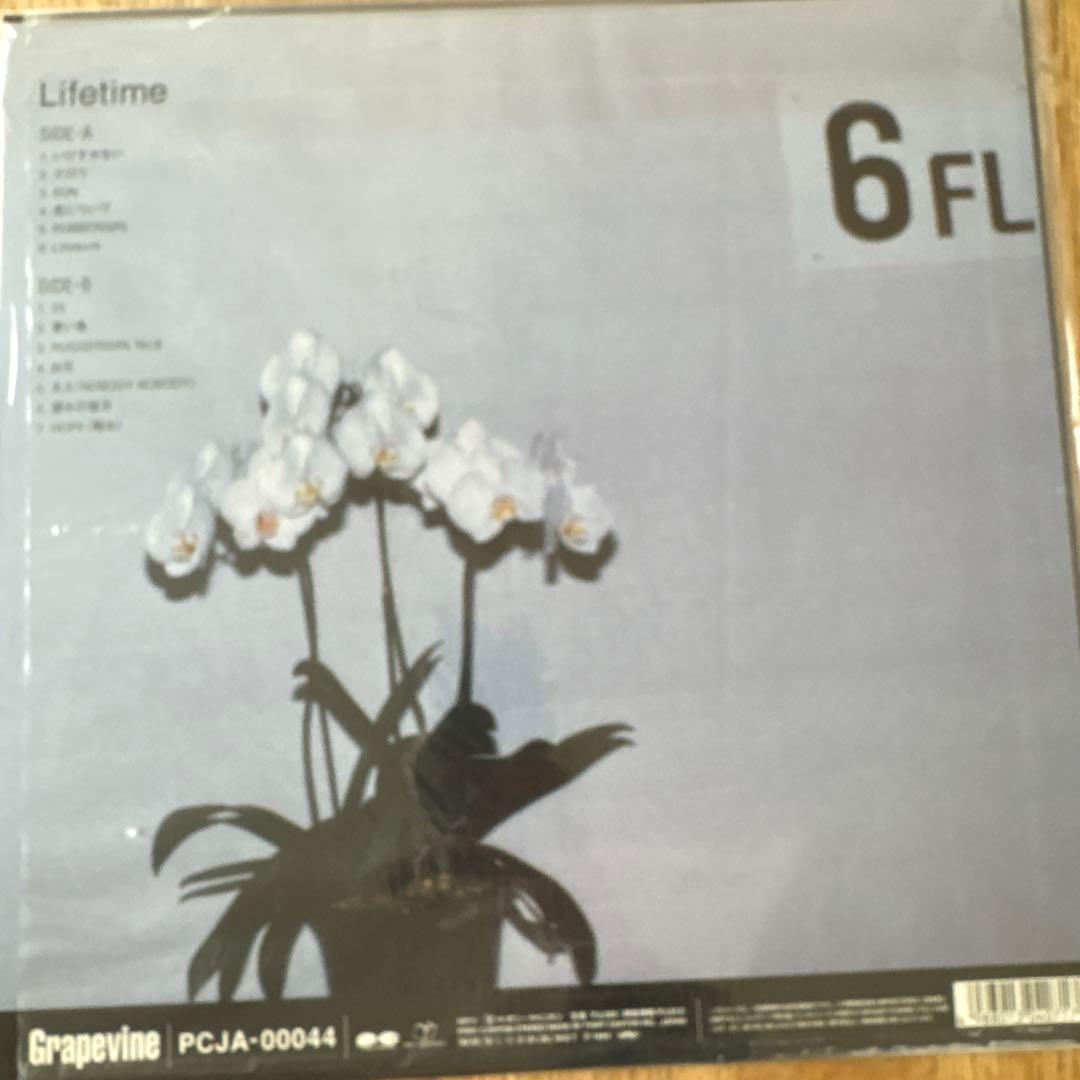 値下げ　GRAPEVINE LIFE TIME レコード