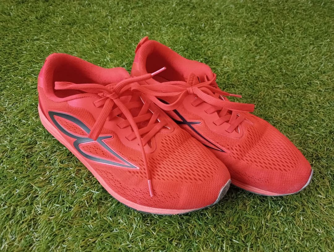 ビモロシューズ24.5cm