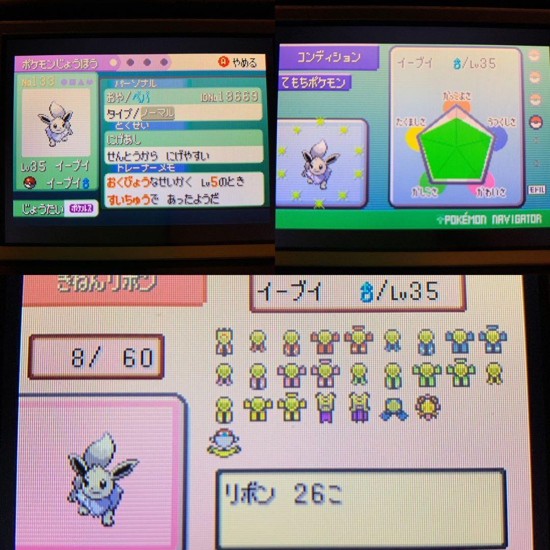 とろろ犬　エメラルド