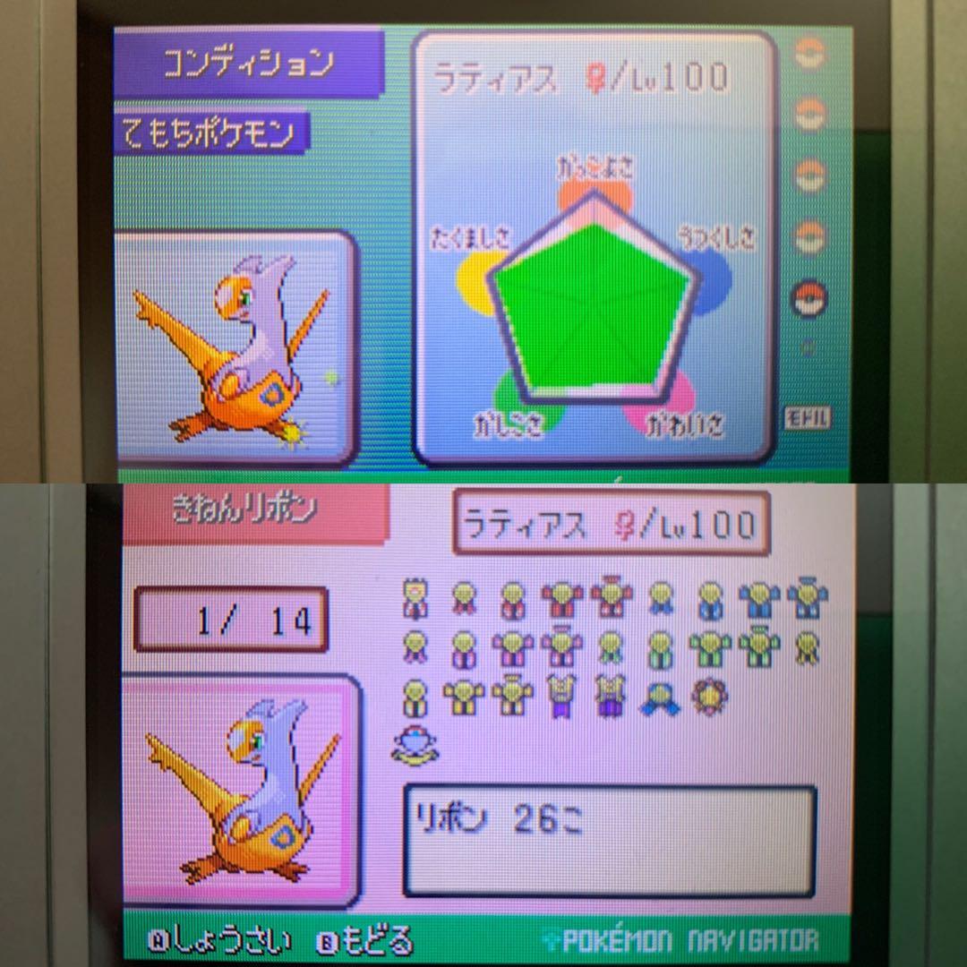 とろろ犬　エメラルド