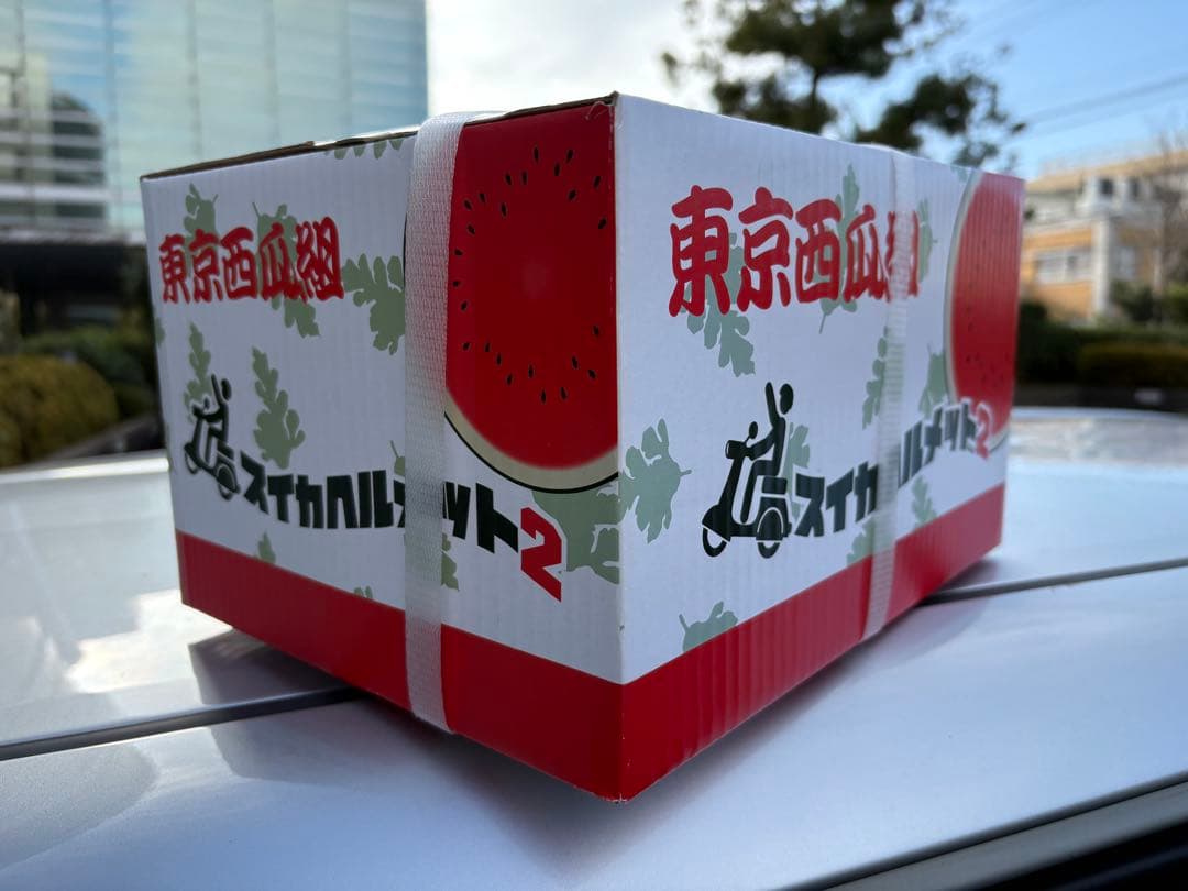 スイカヘルメット2 FREEサイズ