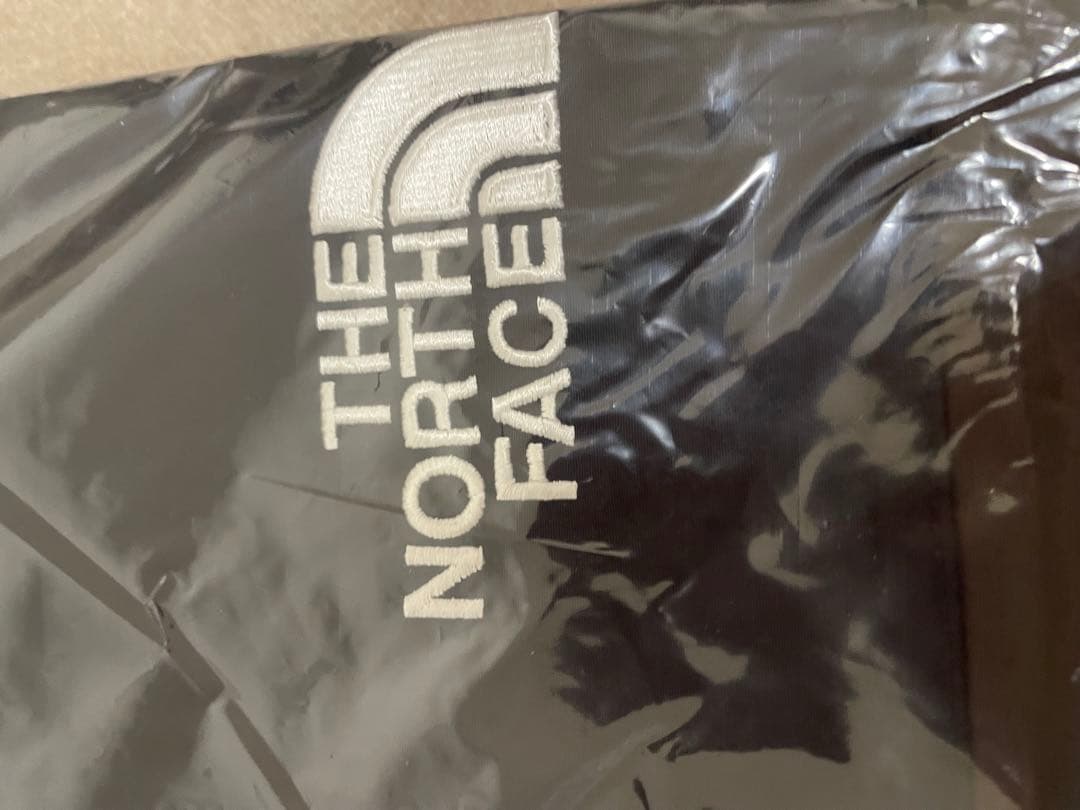 THE NORTH FACE ALBANY EX ブラウン