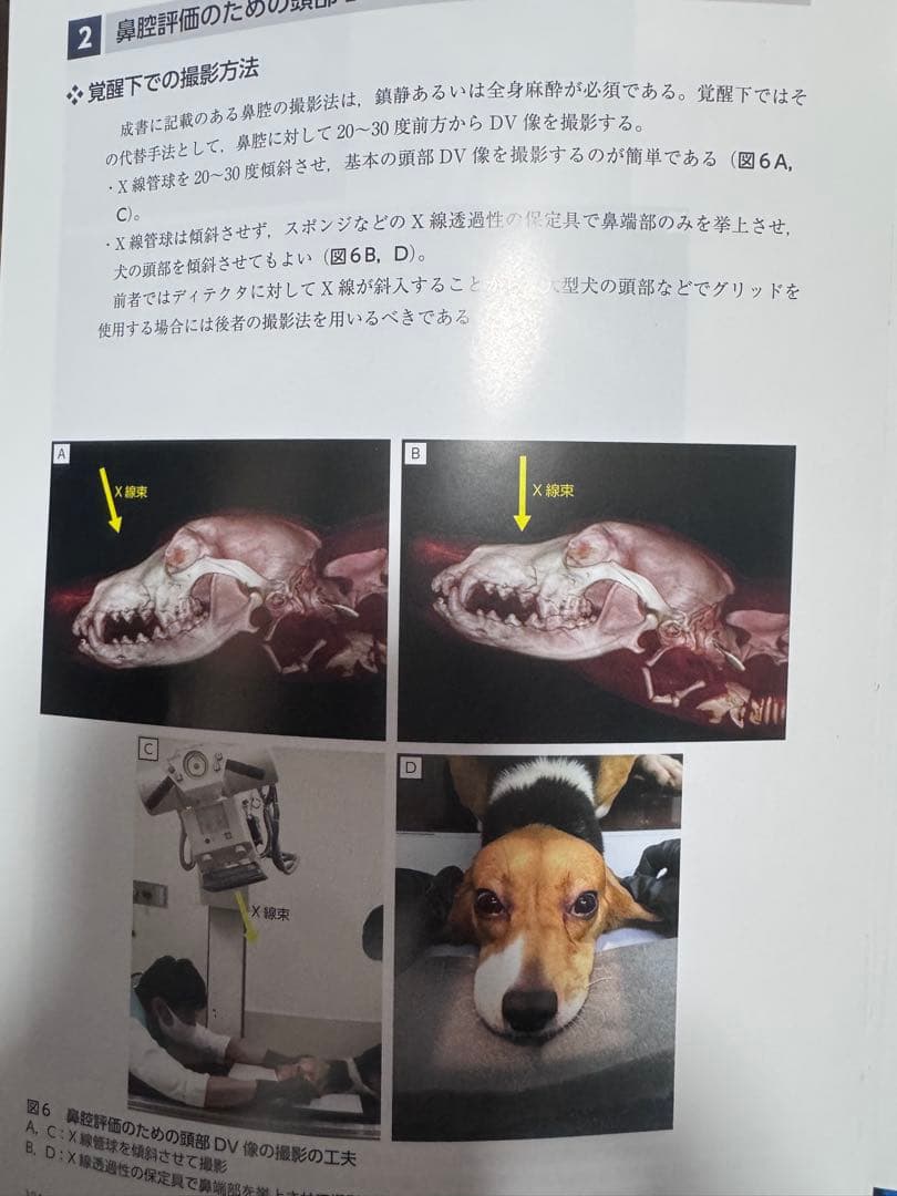 ＊裁断済み　犬と猫のX線撮影ガイド