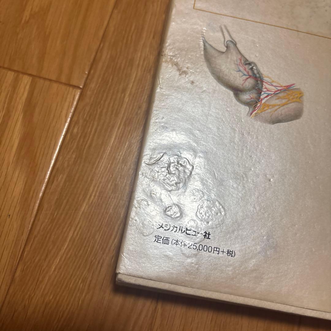 新泌尿器科手術のための解剖学