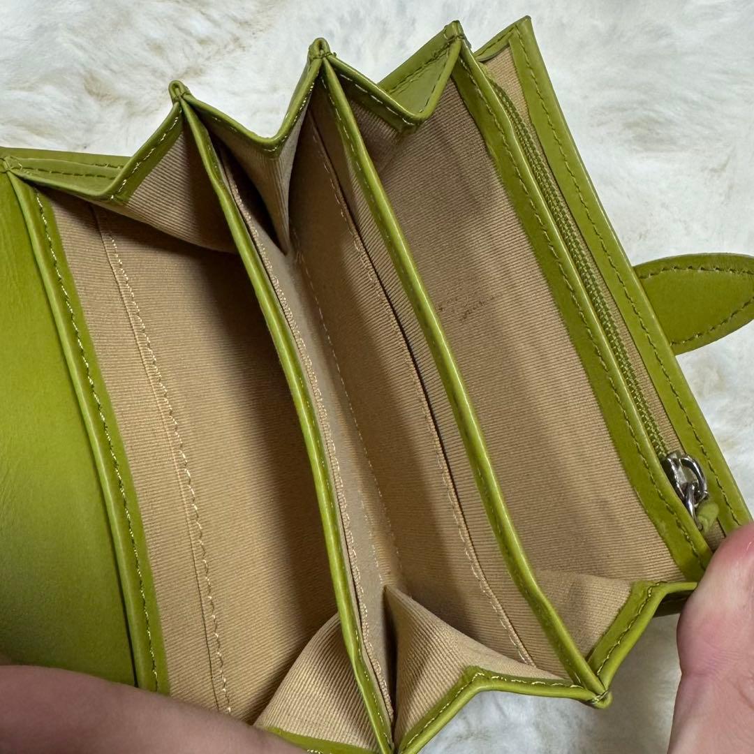 リアルクロコダイル革 シャイニング ライトグリーン H金具折り財布 鰐革 ワニ