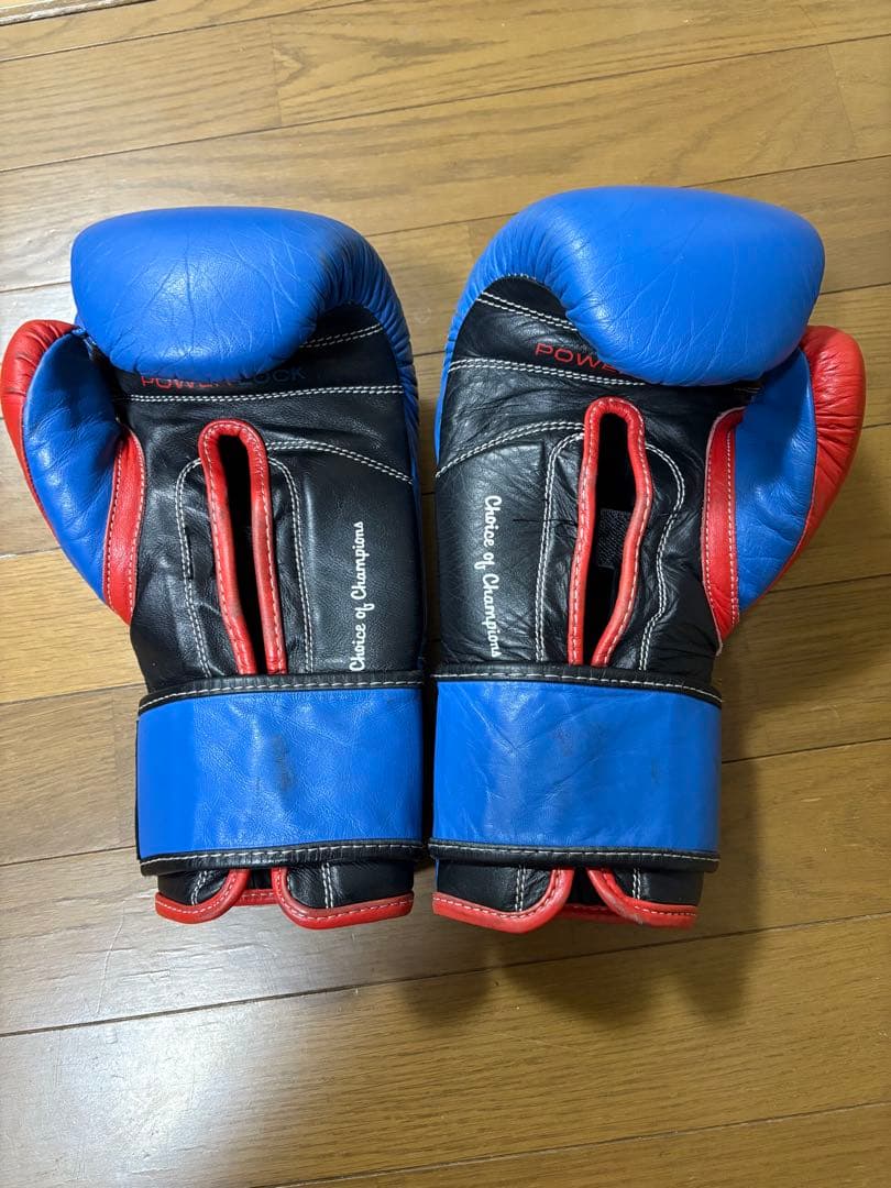 Everlast パワーロック トレーニンググローブ 14オンス