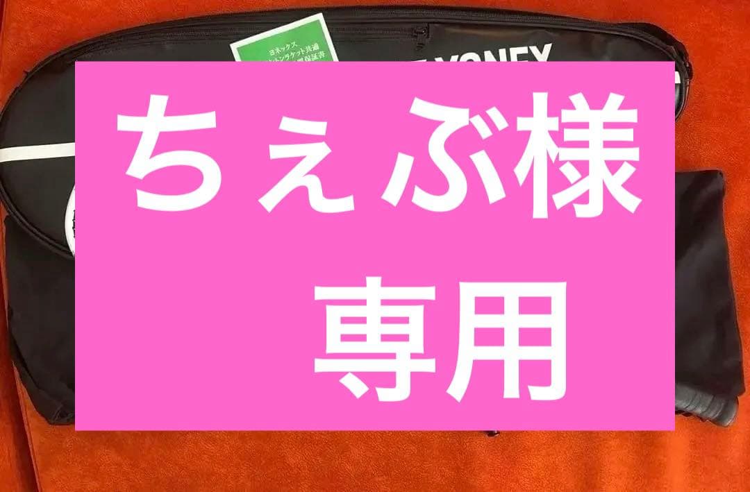 YONEX アストロクス33 ケース付き　【美品】