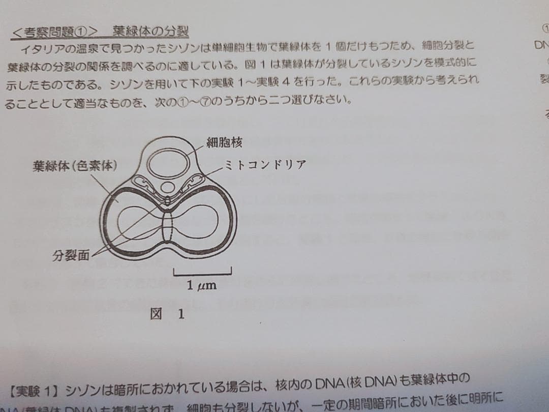 河合塾による上位クラスの生物考察問題集問題解説フルセット　駿台　鉄緑会　東進