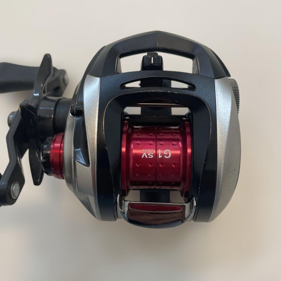 SVライトLTD8.1L-TN