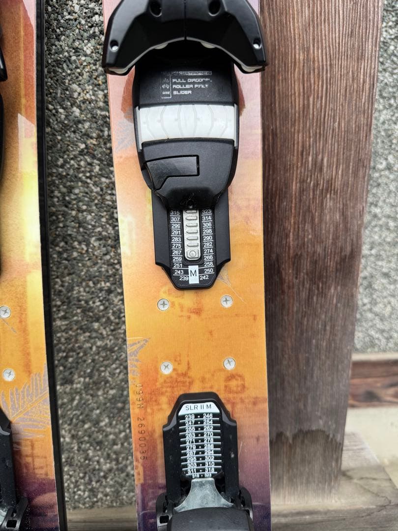 GR ski lifeスキーボード for free ツインチップスキー板