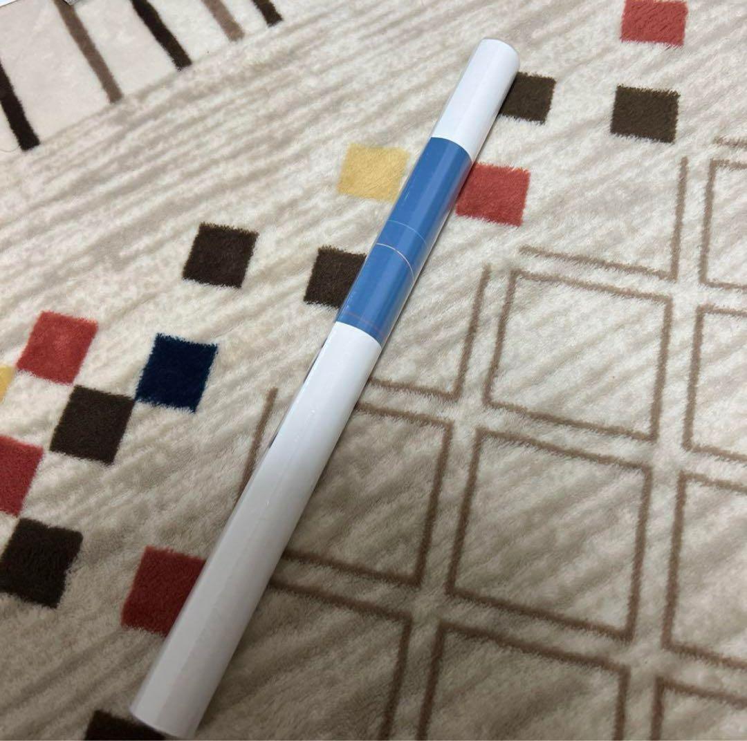 バンドリ MyGO!!!!! 迷星叫 購入特典 A3 ポスター