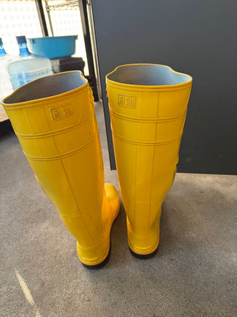 ザクタス　イエロー