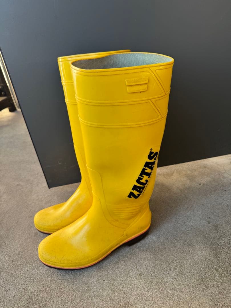 ザクタス　イエロー