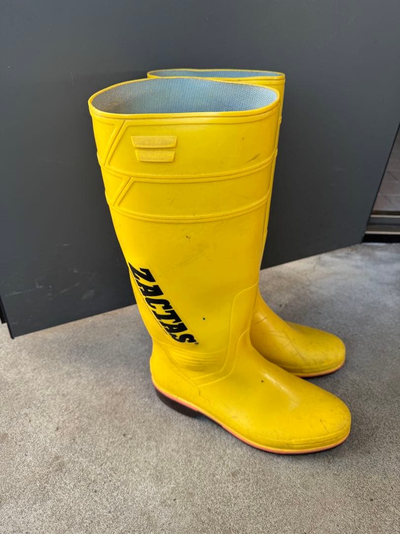 ザクタス　イエロー