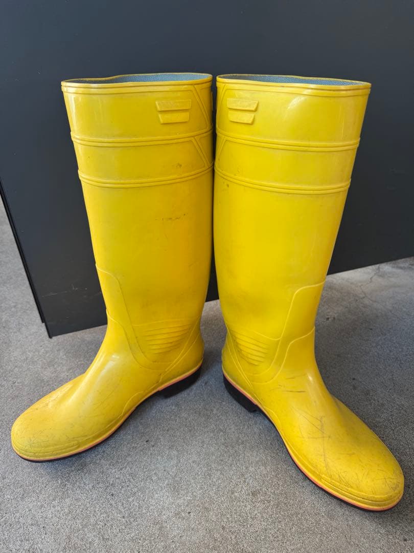 ザクタス　イエロー