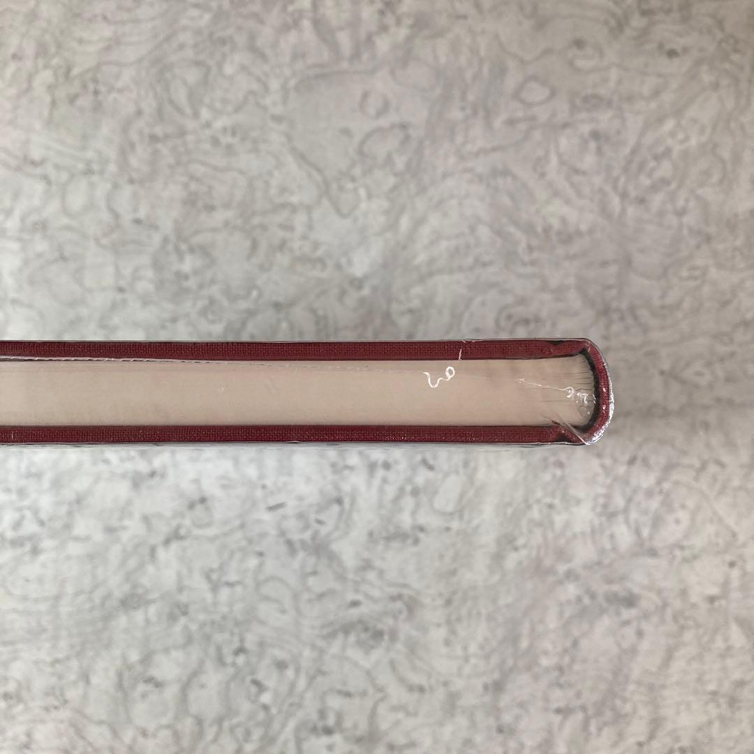 ソール・ライター 【Early Color】SAUL LEITER