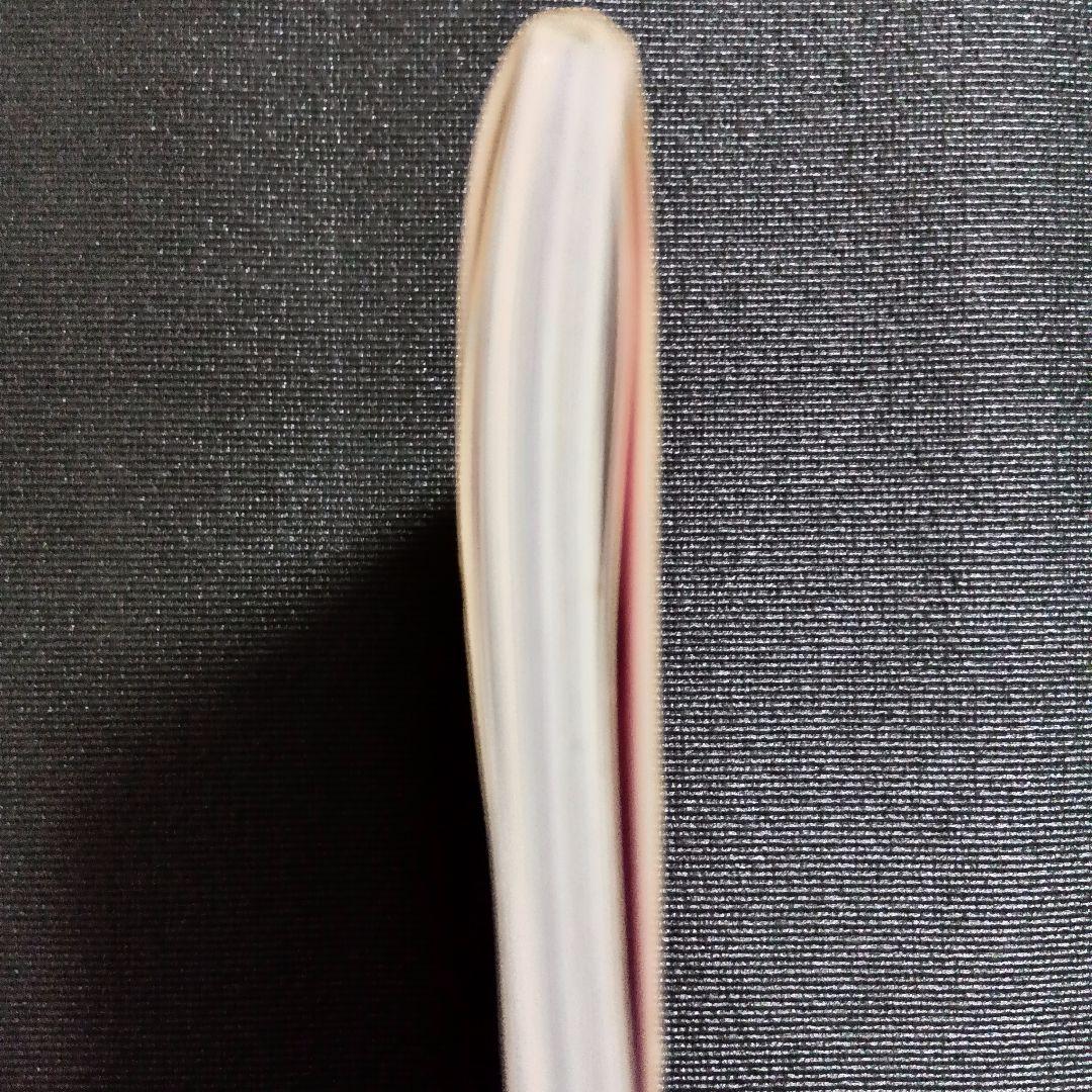 さくら学院 中元すず香 2013年3月 卒業 写真集 BABYL